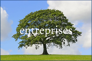 ent-300px